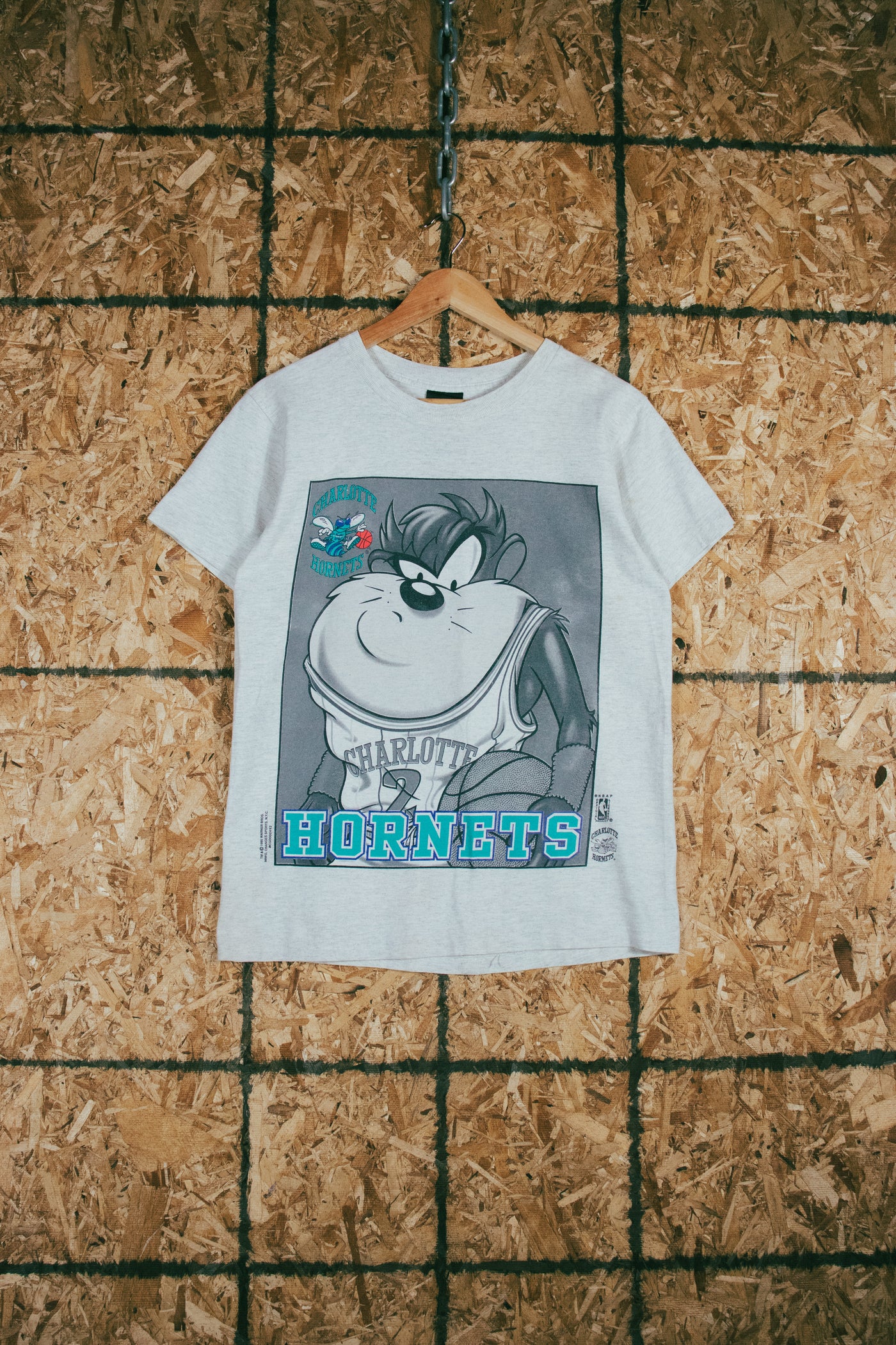 Vintage 1995 Taz Charlotte Hornets T-Shirt – Grateful Threads