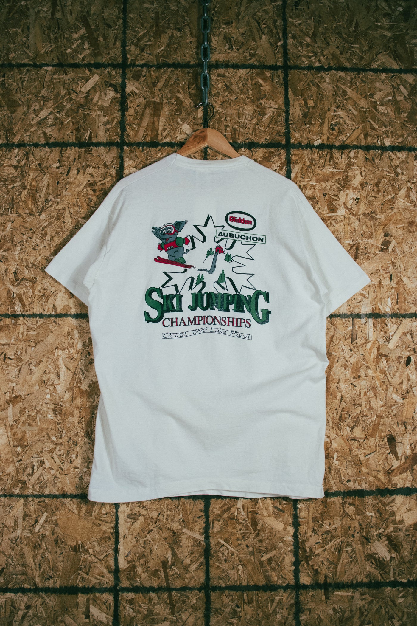 Vintage 1996 Lake Placid Ski Jumping Championships T-Shirt