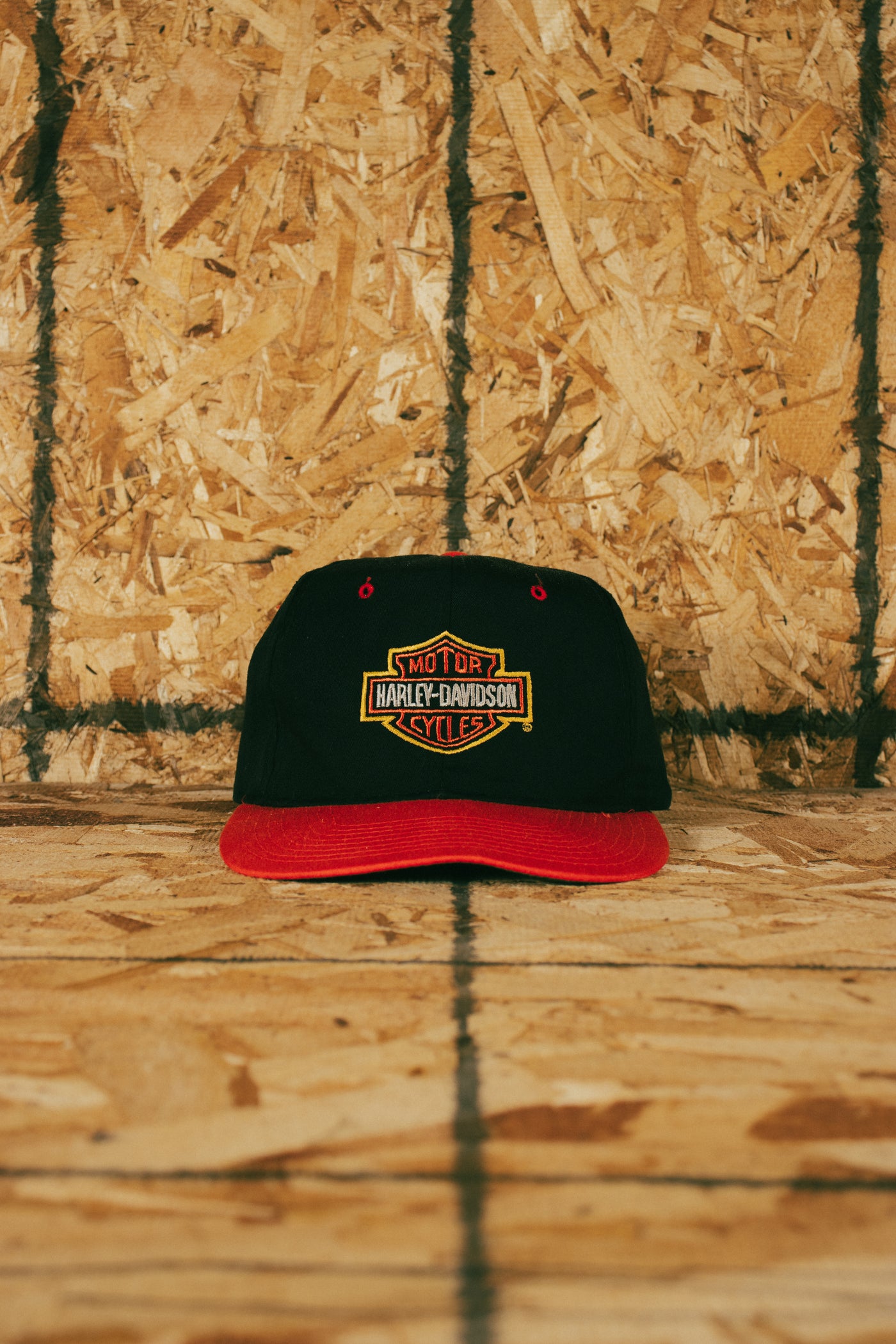 Vintage 90s Harley Davidson Albany Snapback