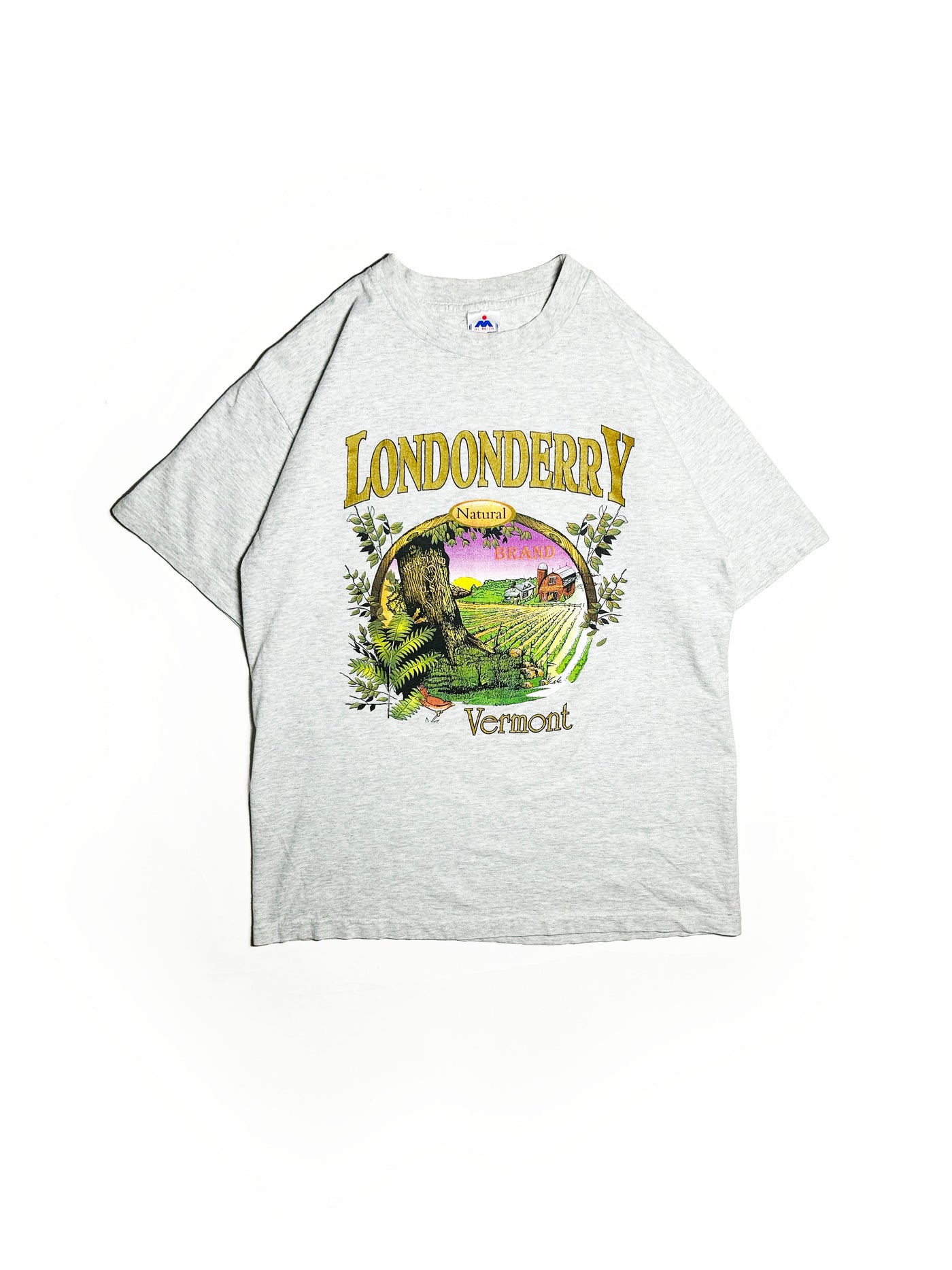 Vintage 90s Londonderry Vermont T-Shirt