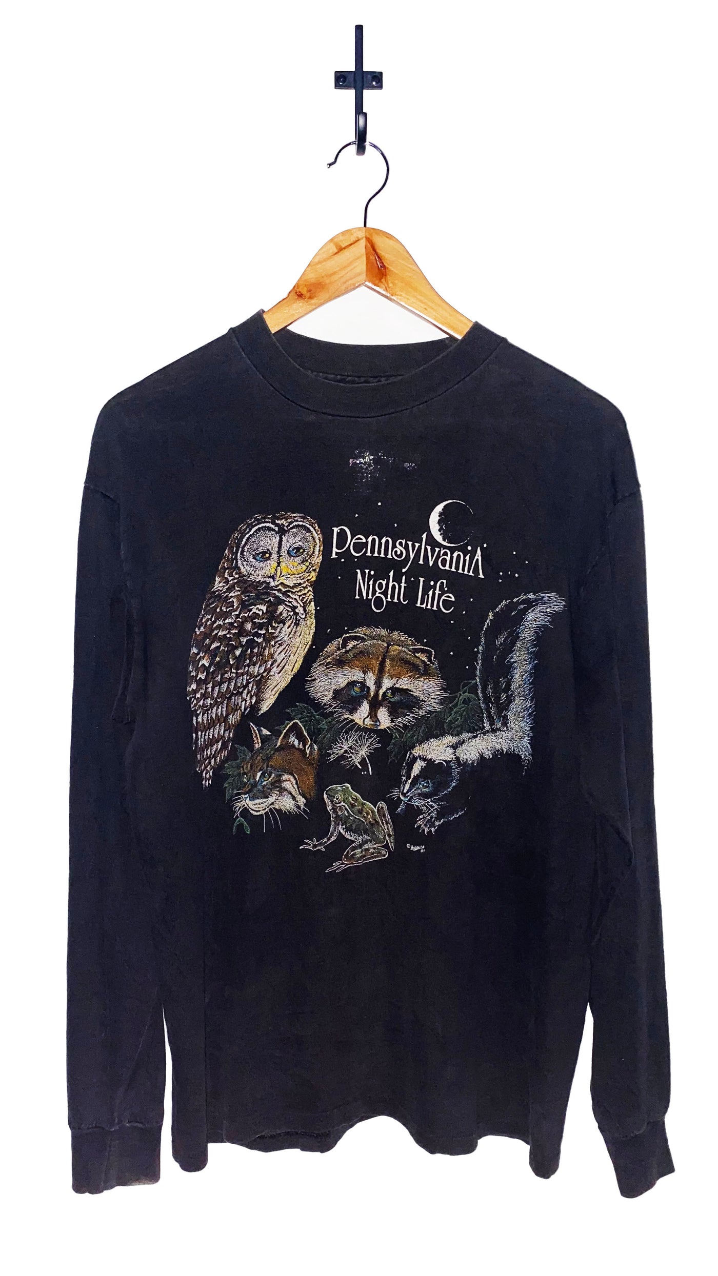 Vintage 1991 Pennsylvania Night life Owl Long Sleeve