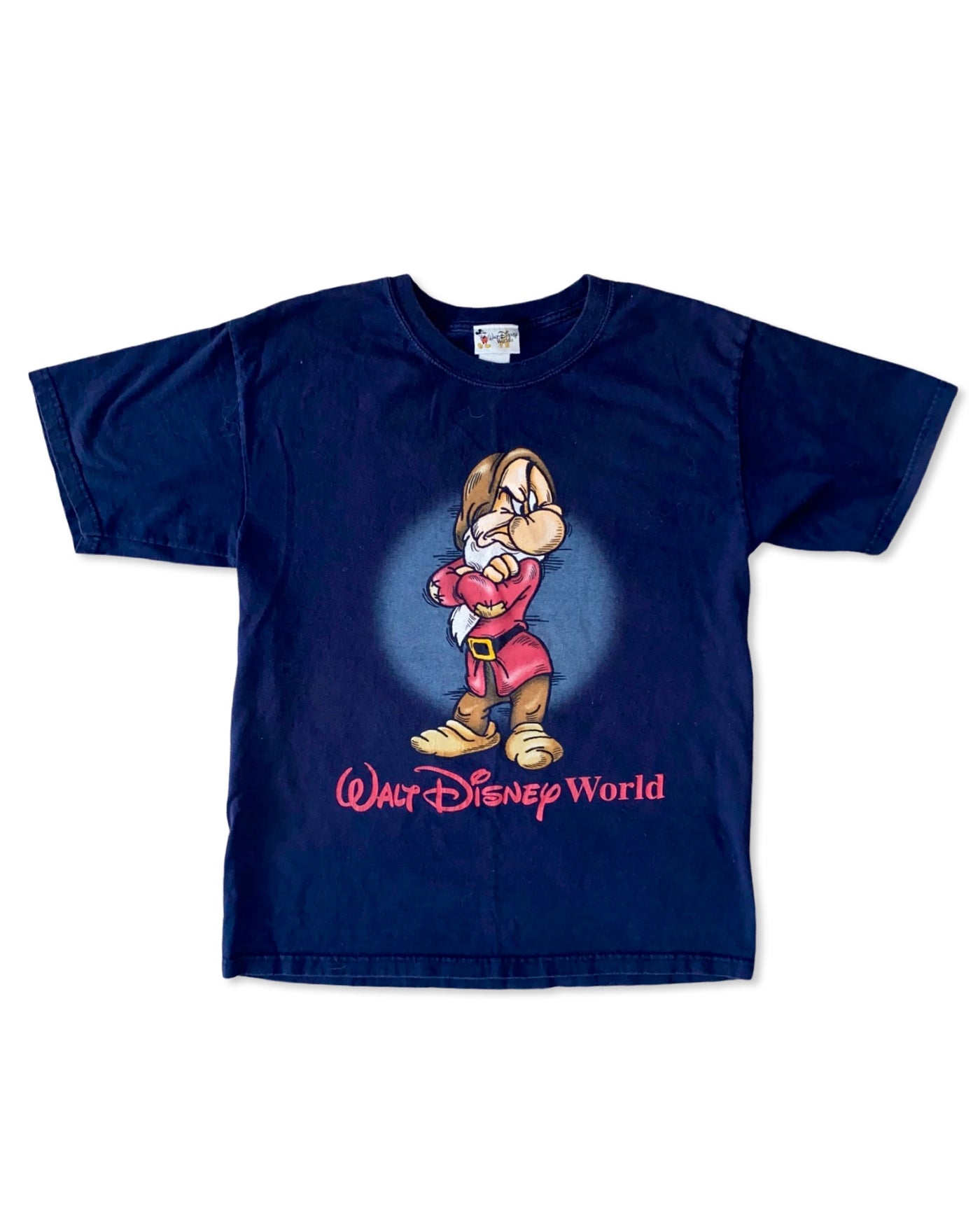 Vintage Disney World Grumpy T-Shirt