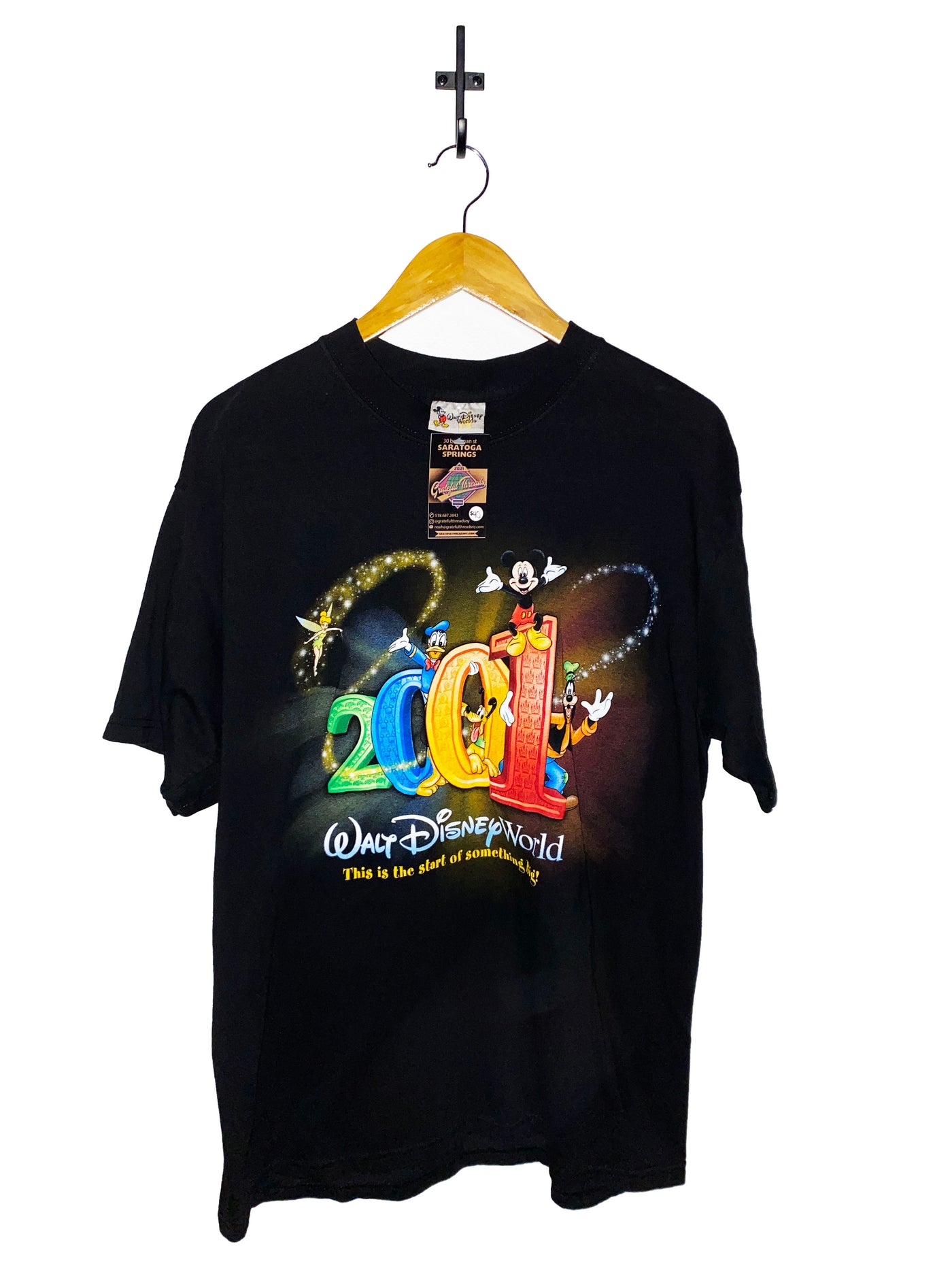 Vintage 2001 Walt Disney World ‘This is the start of something big’ T-Shirt