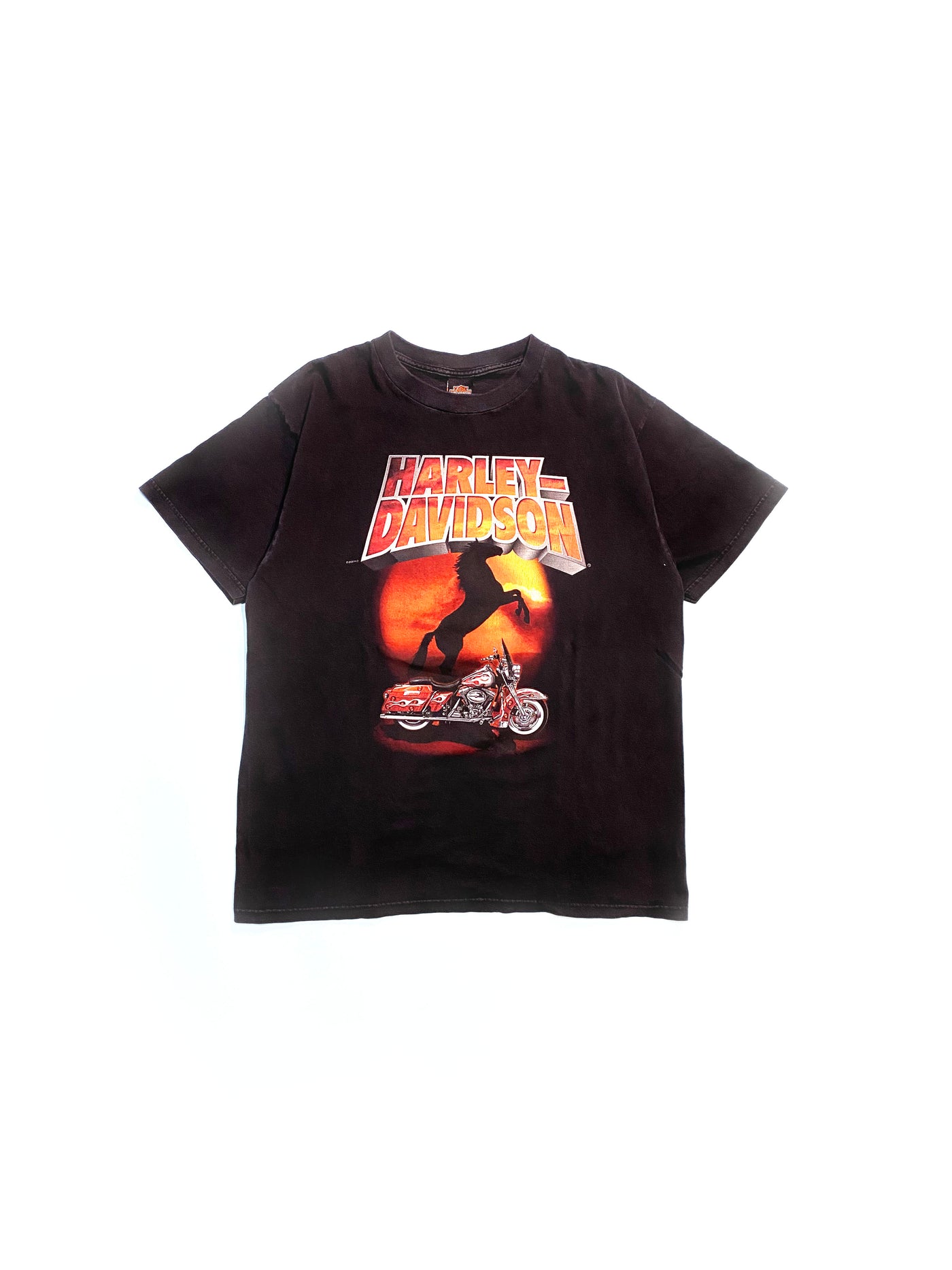 Vintage 2000 Harley El Paso, TX T-Shirt