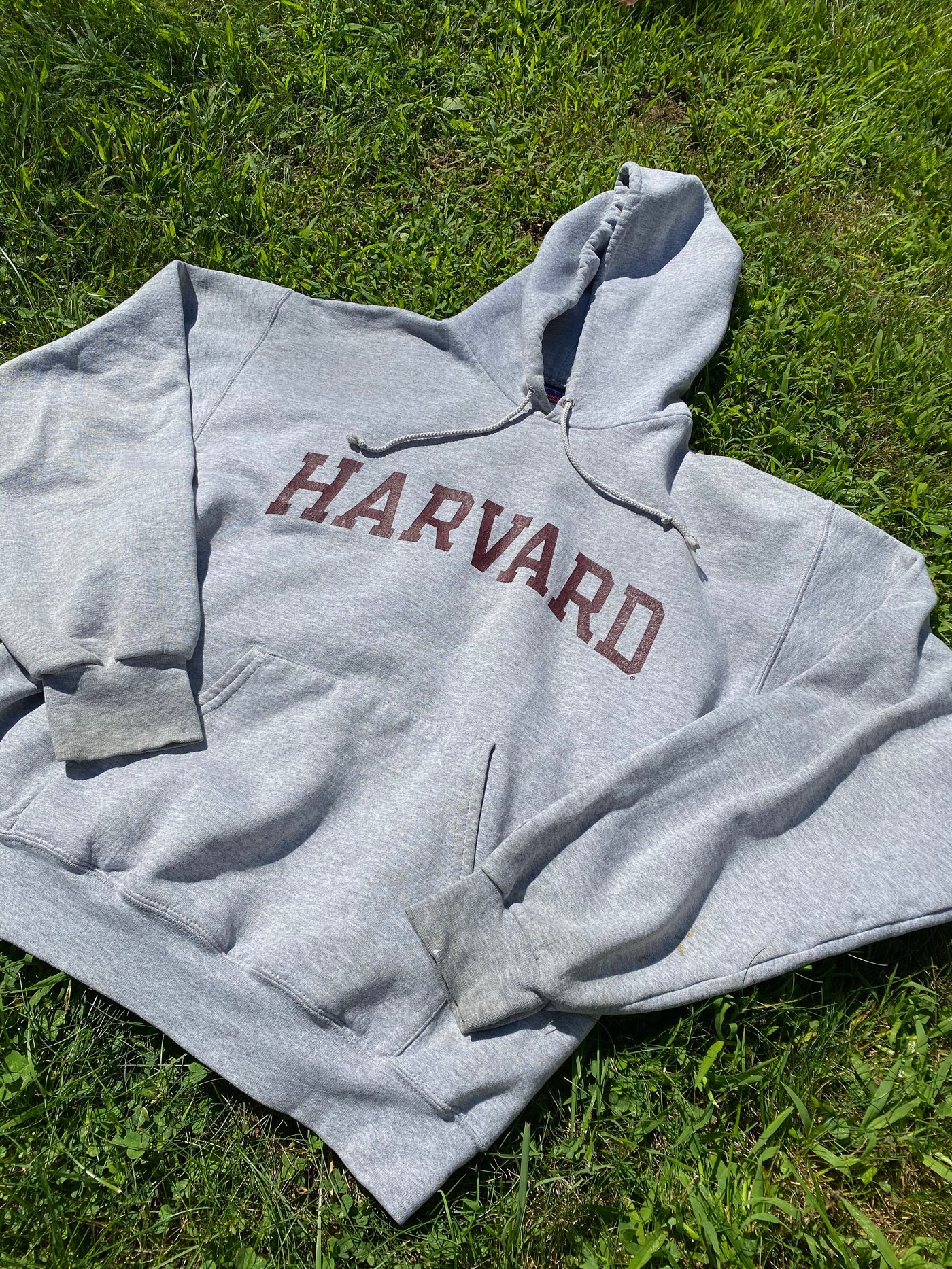 Vintage Champion Harvard Spellout Hoodie